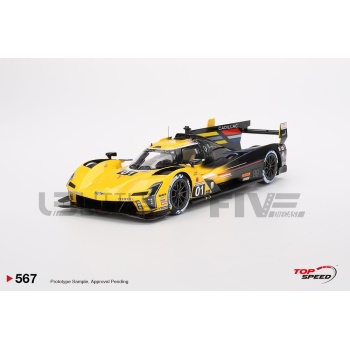 top speed 18 cadillac vseries.r  24h daytona 2024 racing cars prototypes