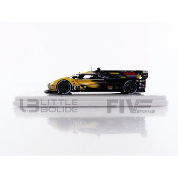 truescale miniatures 43 cadillac vseries.r  imsa 24h daytona 2024 racing cars prototypes