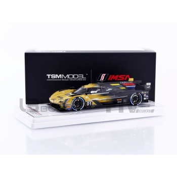 truescale miniatures 43 cadillac vseries.r 12h sebring 2024 racing cars prototypes